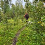 Ripinventering 1-10 augusti