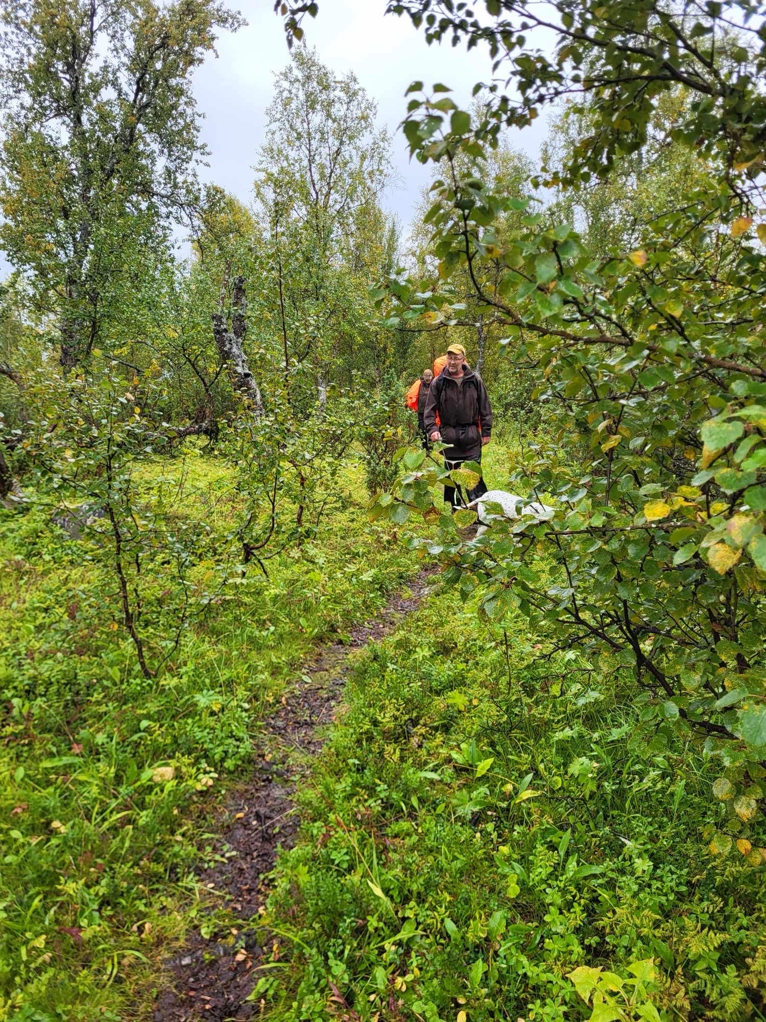 Ripinventering 1-10 augusti