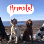 Årsmöte 7 februari