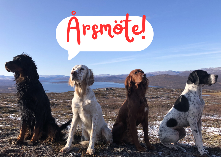 Årsmöte 7 februari 2026