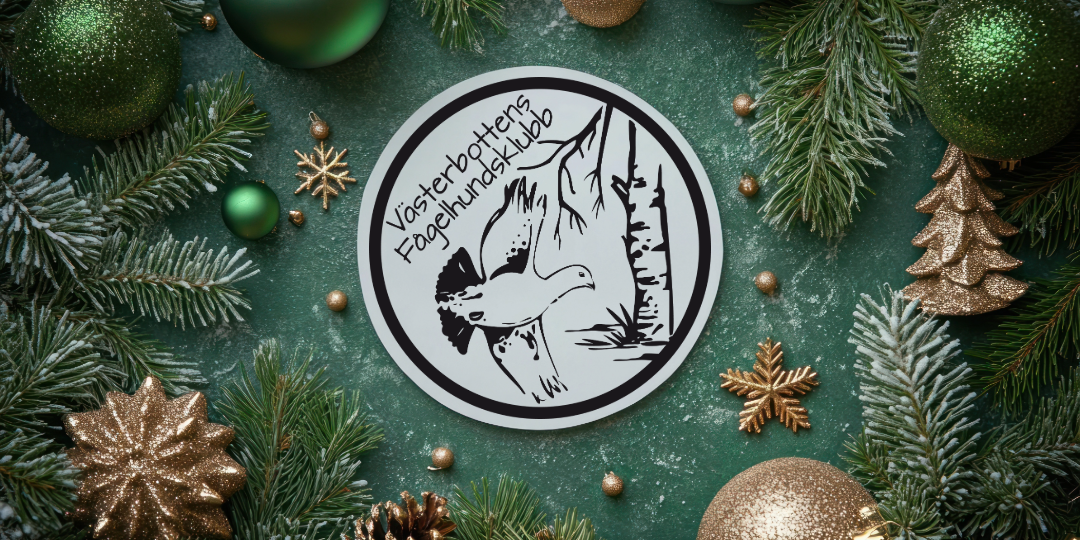 God jul och Gott nytt 2026